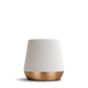 Matte White